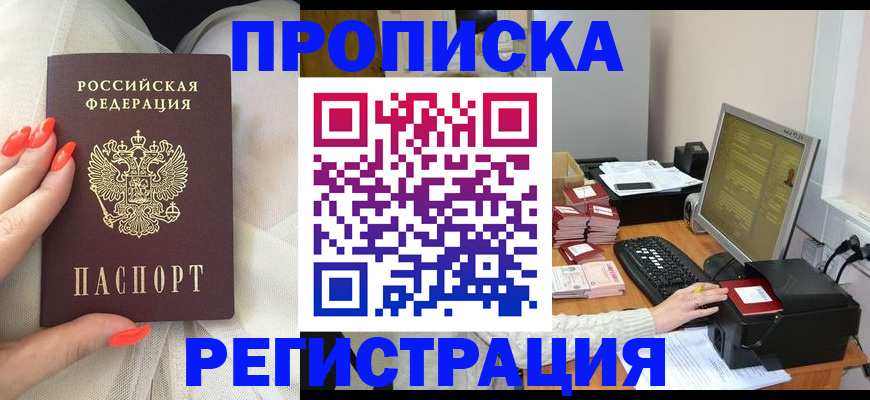 где прописаться в Стародубе